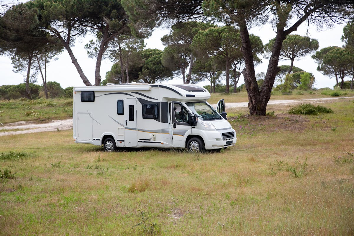 A Pet-Friendly Adventure: Tips for RV Camping with Your Pet